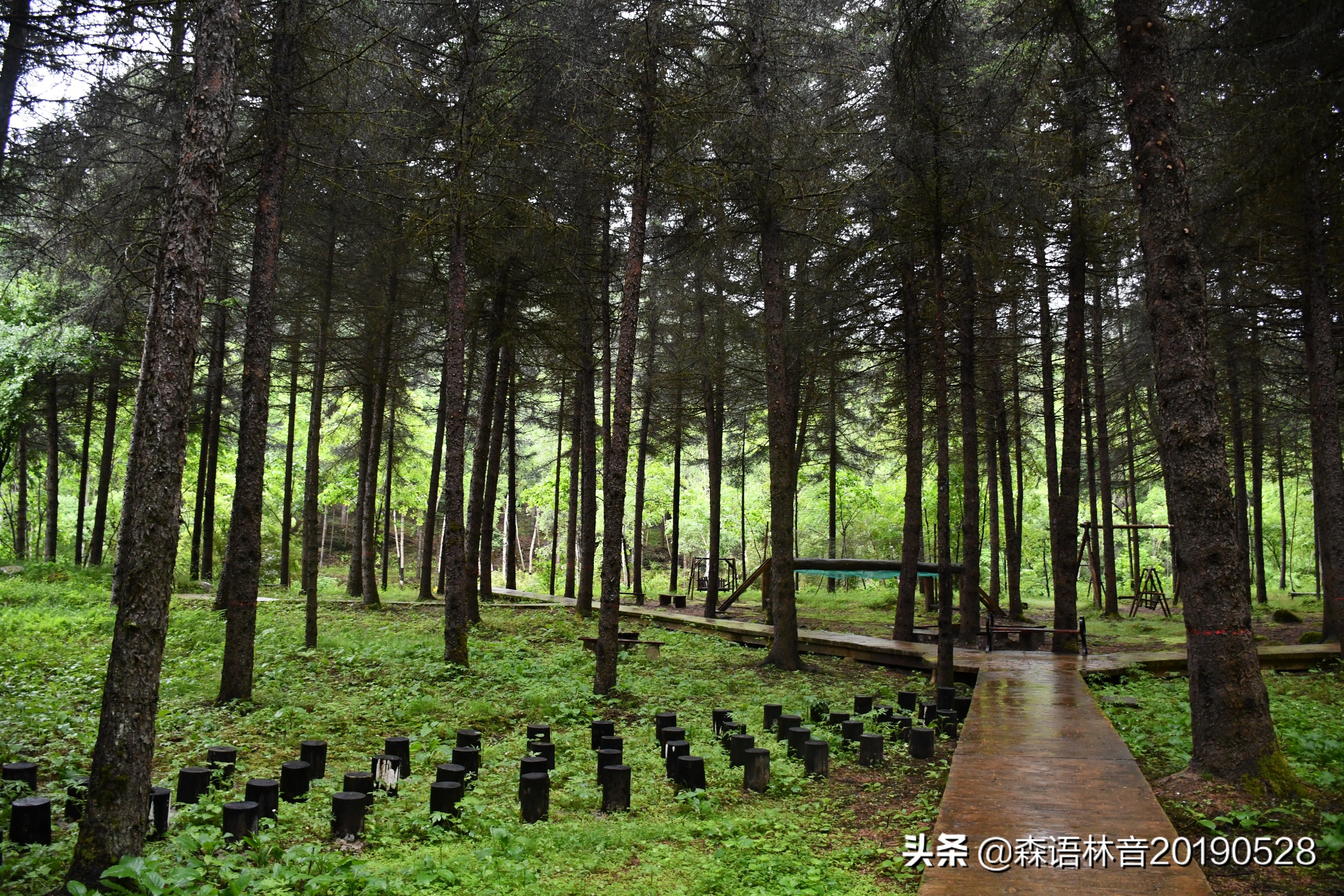 烟雨通天河 丹青水墨画——送你一个夏天“趣”通天河的理由