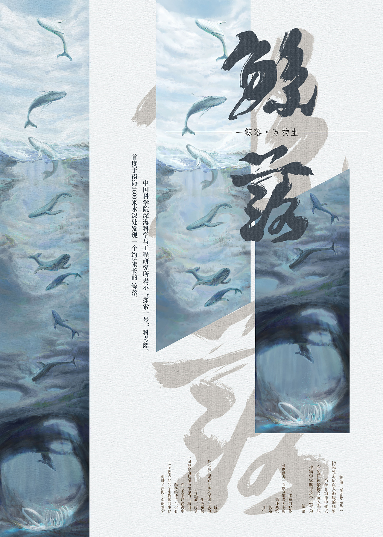 鲸落,美丽又残忍,残忍却包容