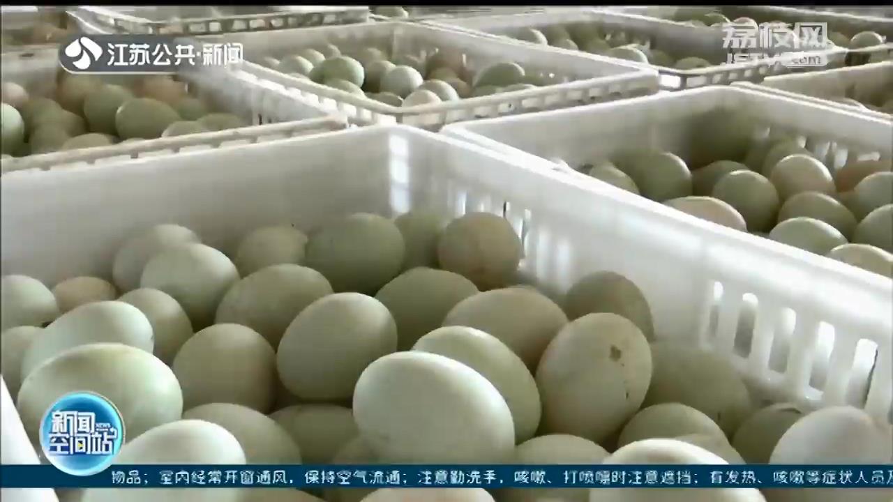 智慧化养殖！扬州高邮小鸭子有了专属&ldquo;基因库&rdquo;