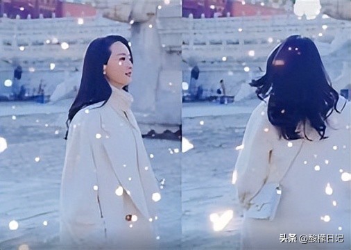 6位女星的上亿豪宅，李小冉8.5亿豪宅内养花，一个比一个奢侈