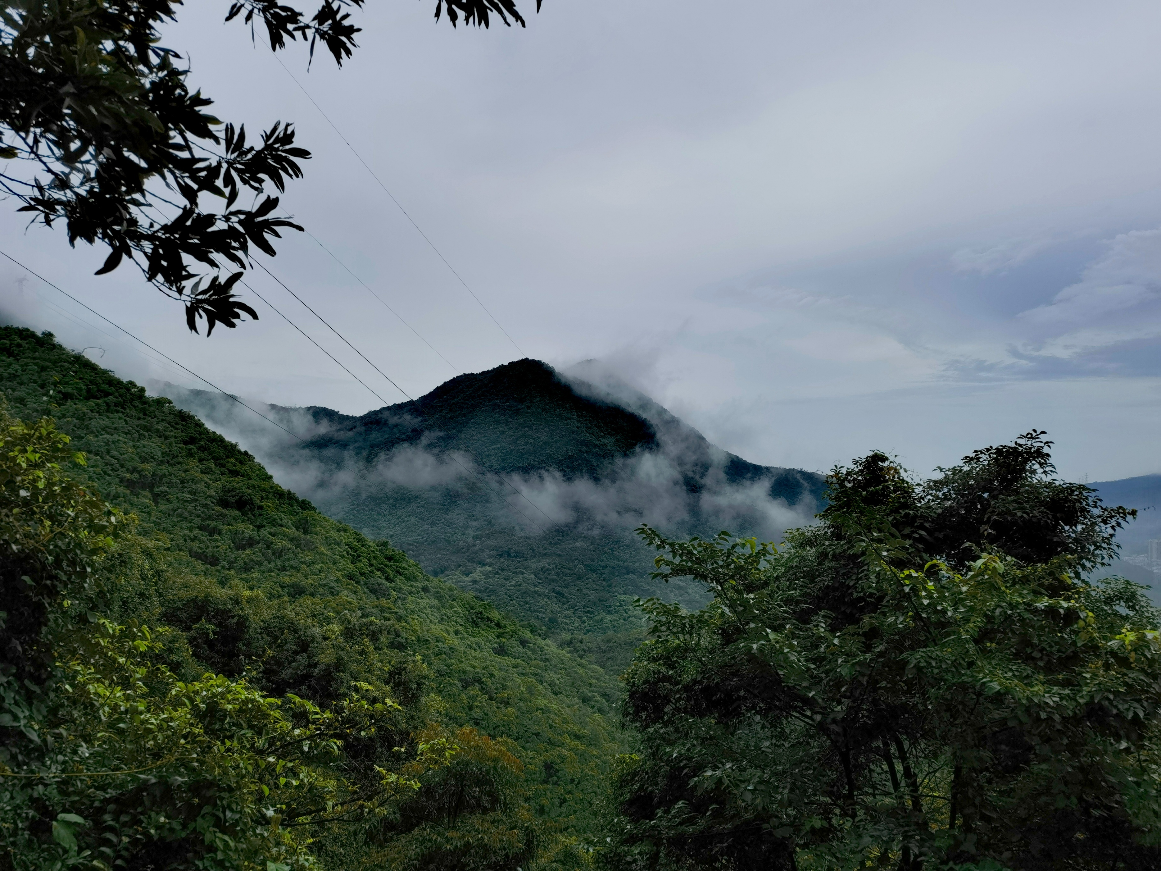 专家齐聚广东观音山 共话旅游生态环境保护与高质量发展