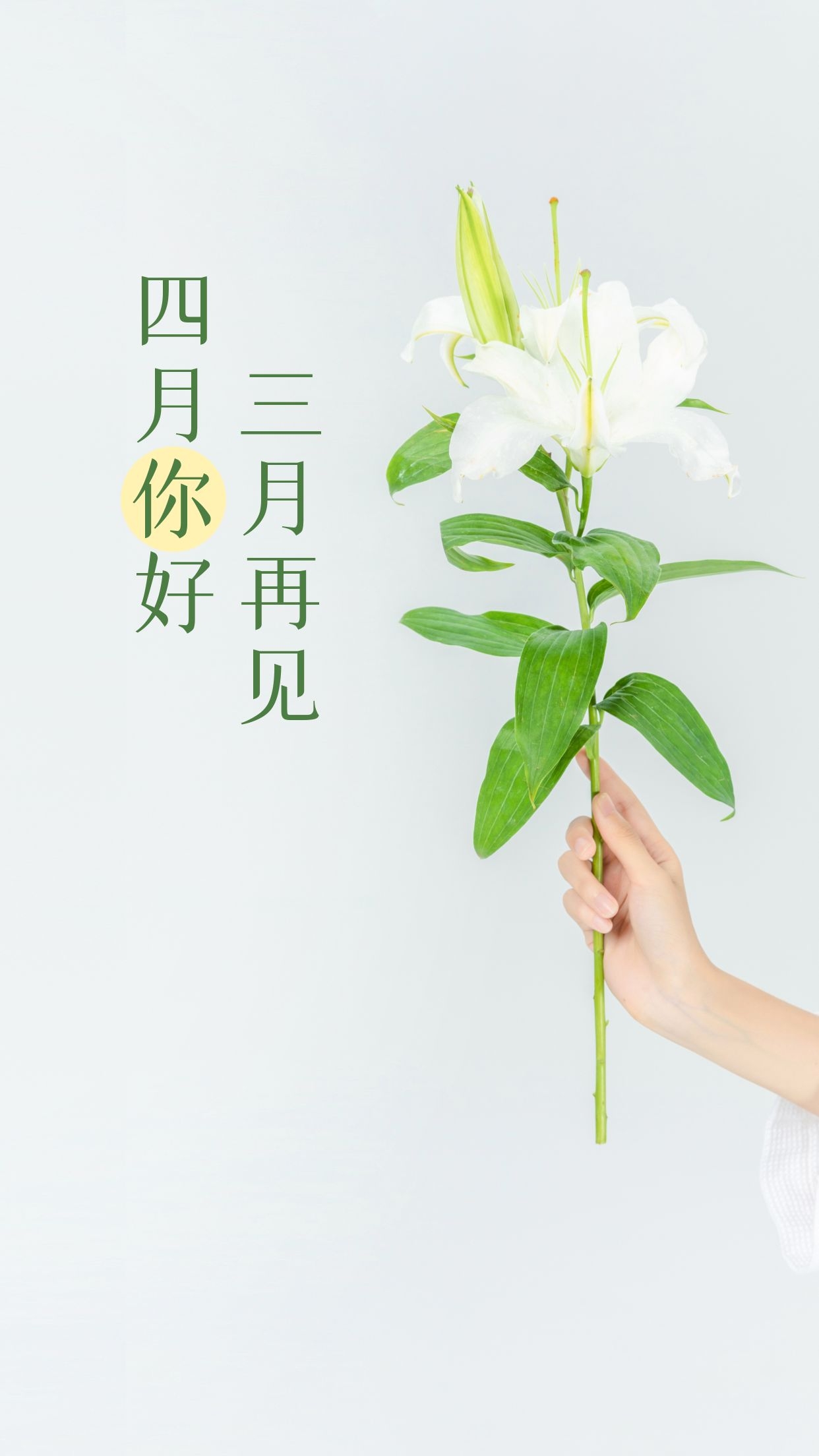 再见,三月,你好,四月,愿接下来的一切都会顺遂人愿,春光美好,春光易逝