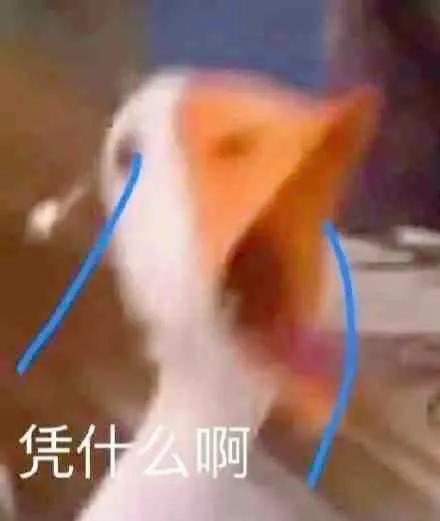 自动回复大全(qq离线自动回复有趣)