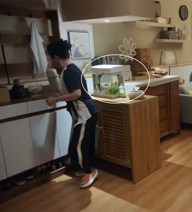 加油妈妈：张雨绮上有老下有小，家里干干净净，生活却是一地鸡毛