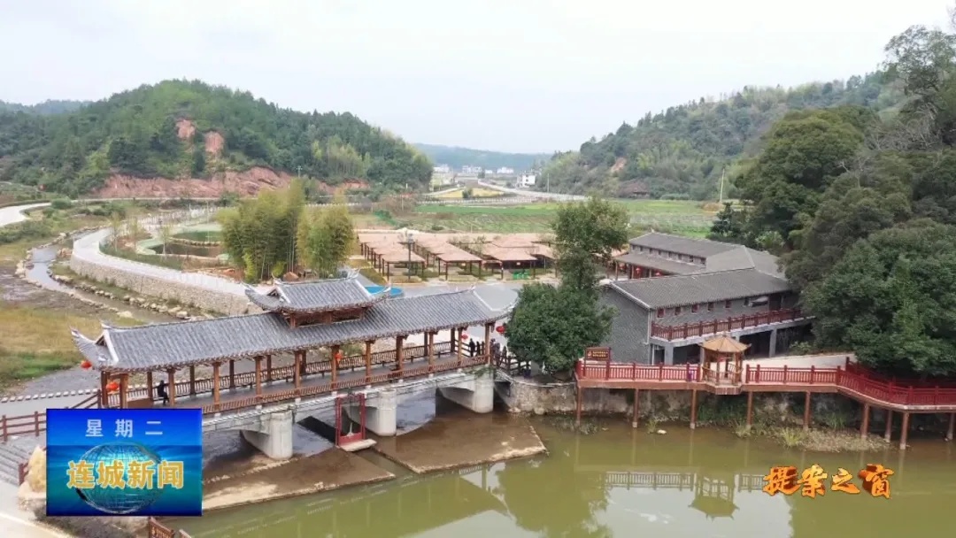 「提案之窗」全面推進鄉村振興 建設宜居宜業美麗鄉村
