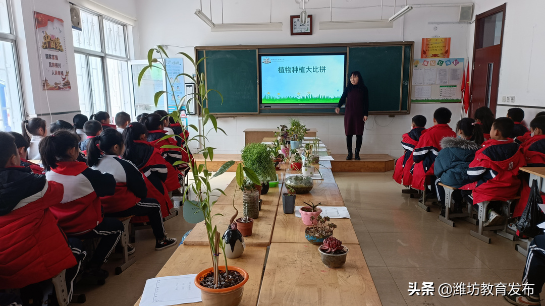 周播报 | 潍坊校园新闻（03.07—03.13）