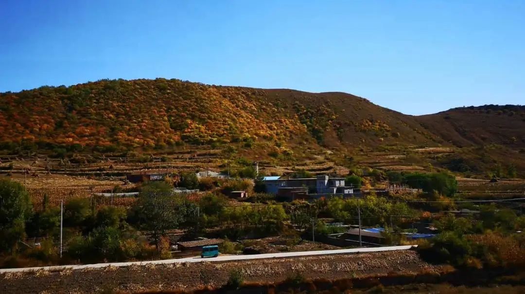 杨树湾的故事简短 _飞翔号