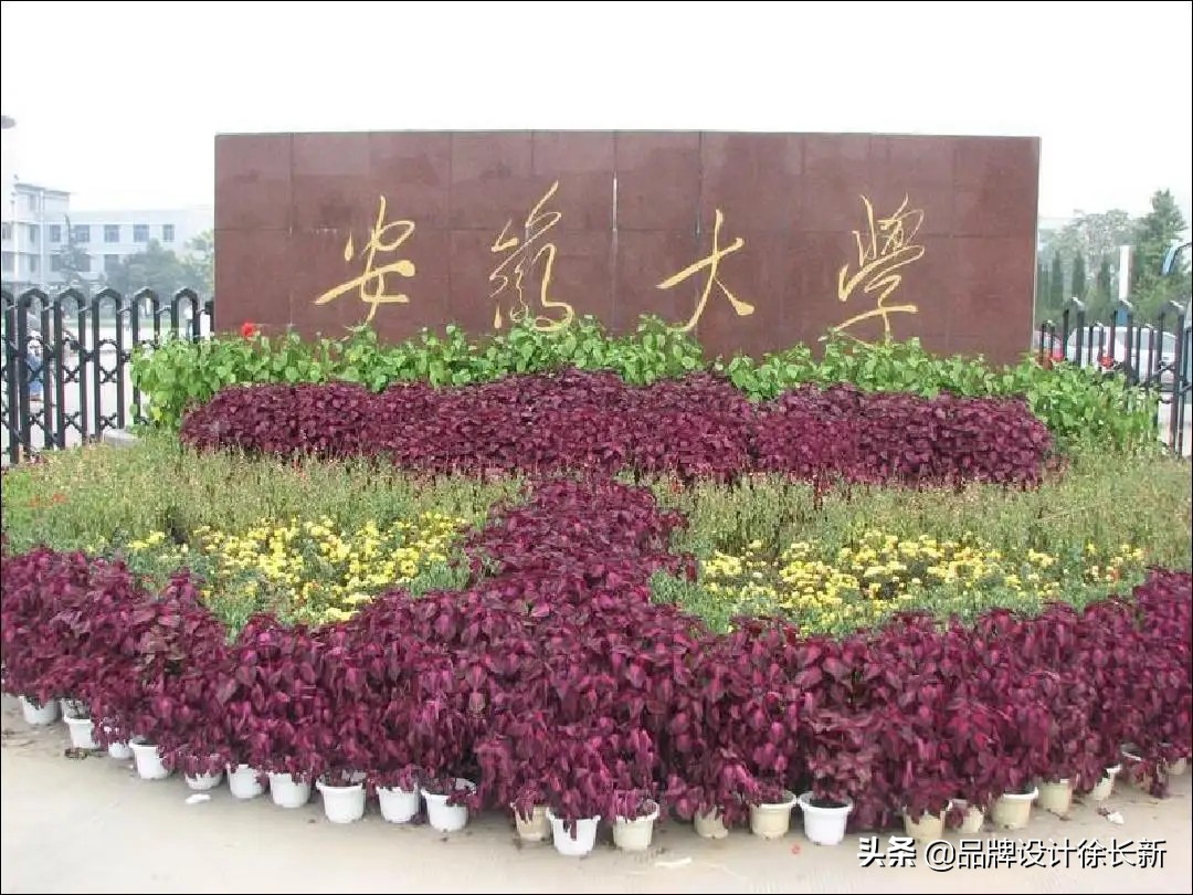 为什么毛体这么受到追捧？