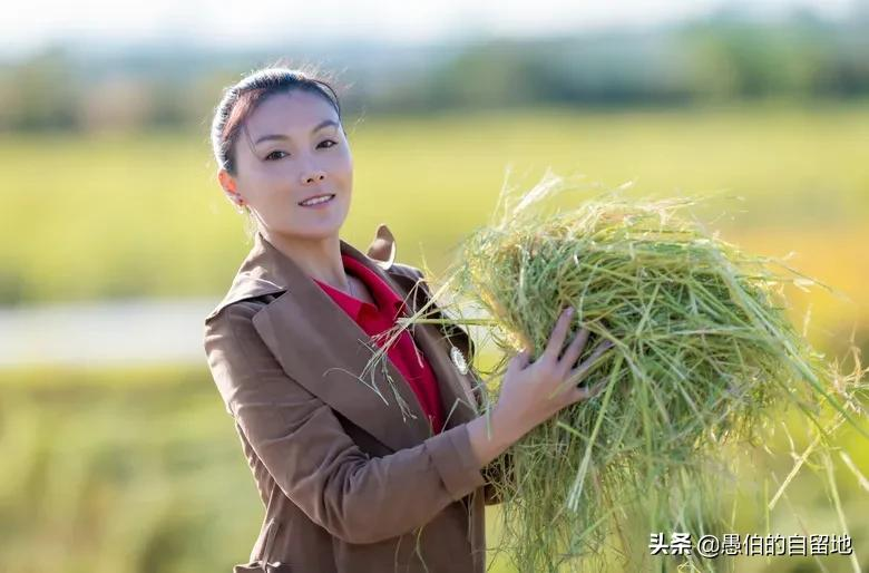 我收到的一份礼物（我收到了( )礼物）