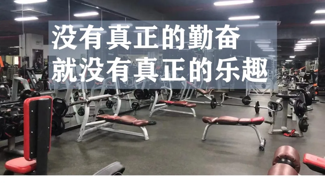 只有真正的勤奋，才有真正的乐趣