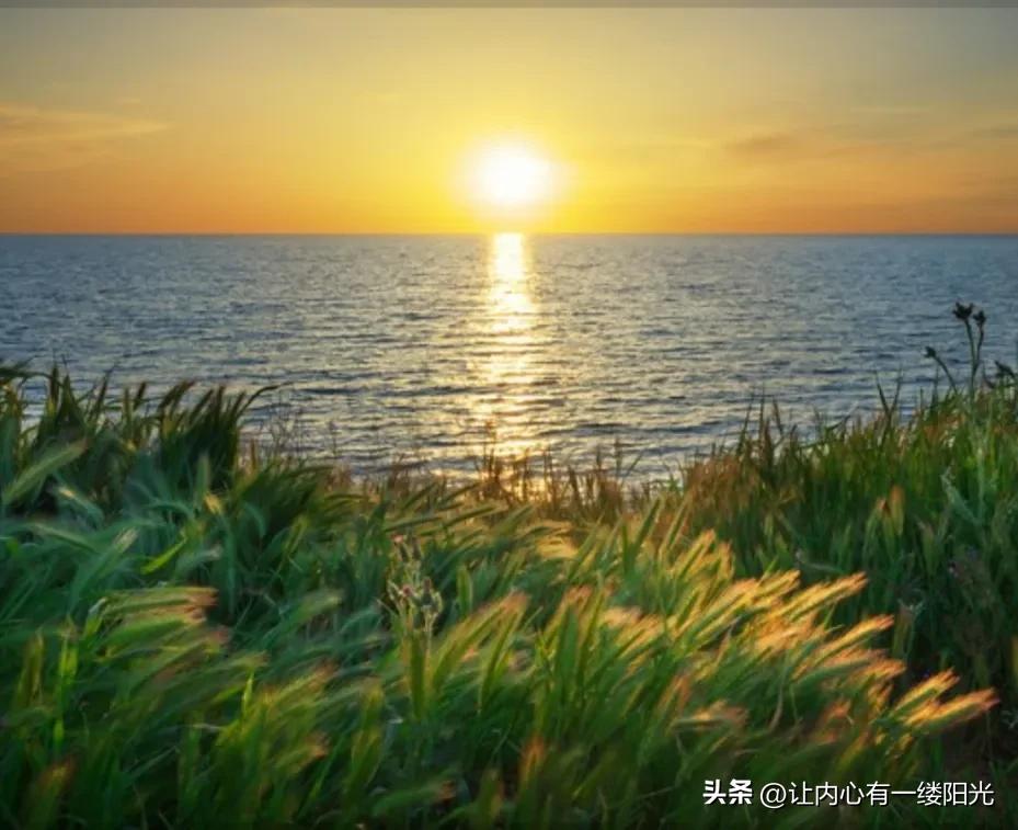情商低的人很可怕