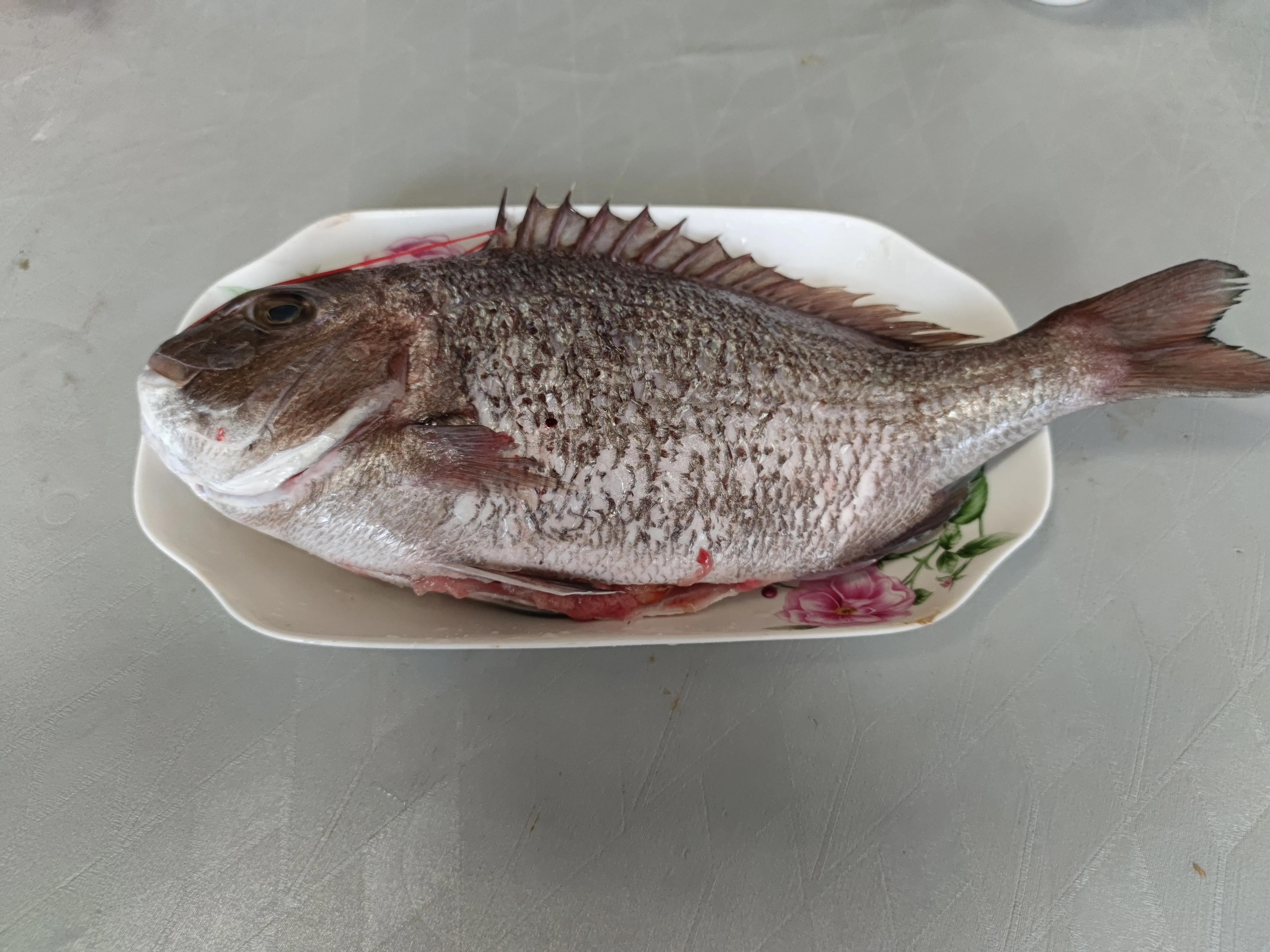 小海鱼的种类图片大全(五一前哪些海鱼最好吃) - 赤虎壹号