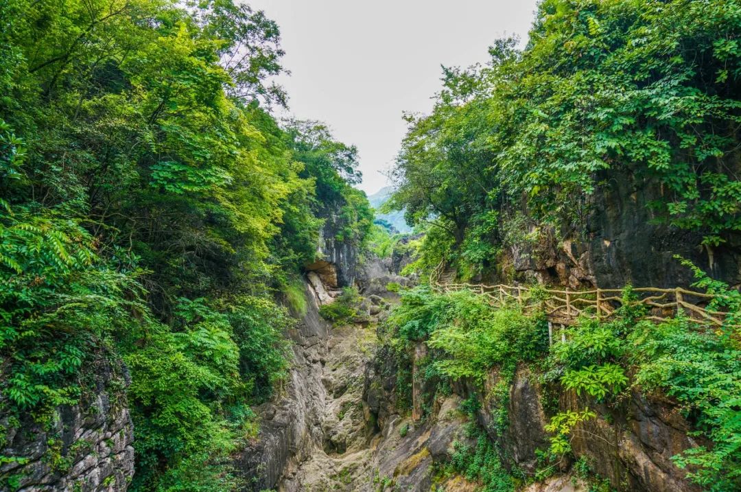 六首佛系诗词：但看花开花落，莫论人间短长