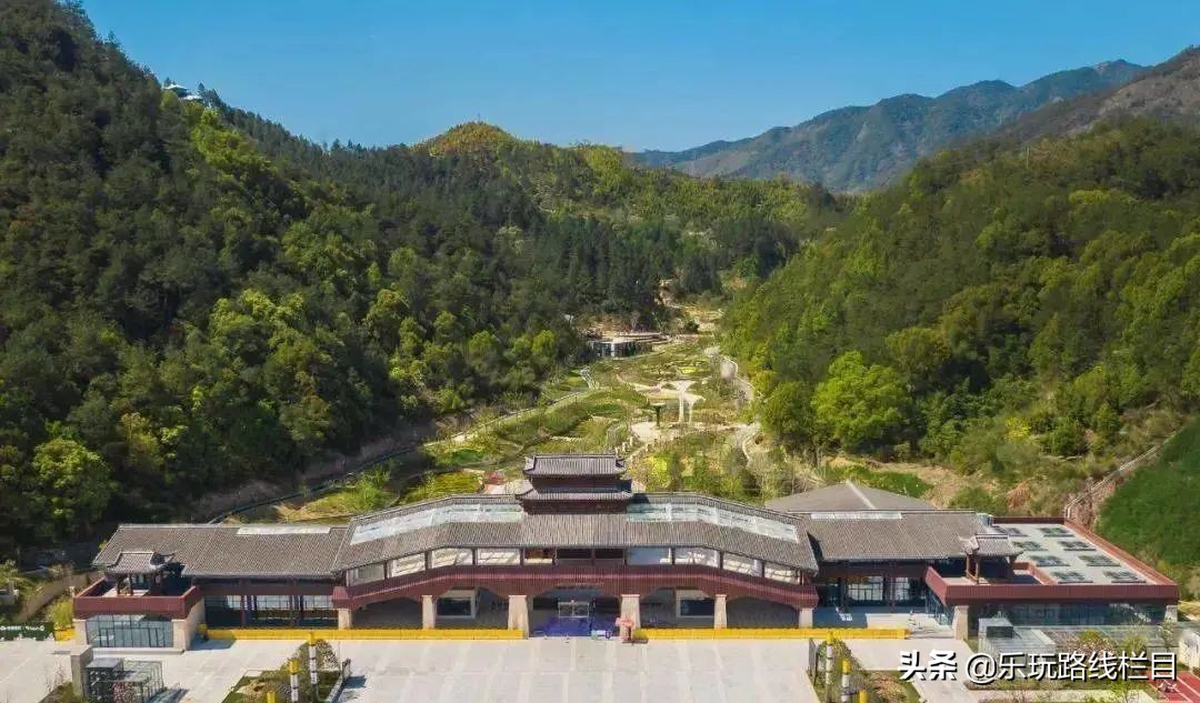 收藏！莲都春游好去处都在这里了