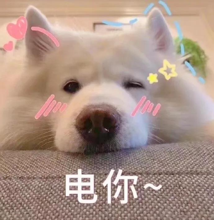 自动回复大全(qq离线自动回复有趣)