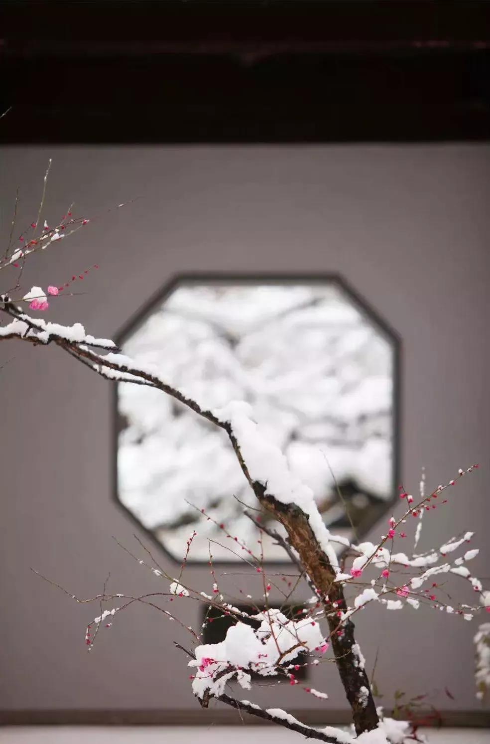 江城子*冬至(八首)