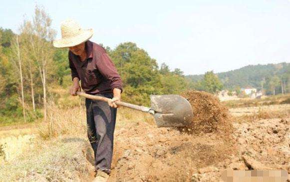 2018年,四川老汉到教育局,含泪跪求查孙女高考试卷：不信只有47分