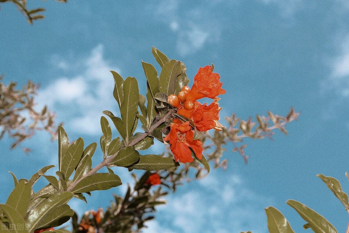自己的路自己走，只有自己最靠谱