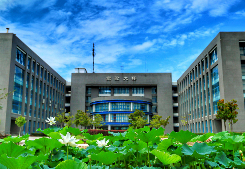 那些捡漏985冷门专业的高考生，后来怎么样了？过来人悔不当初