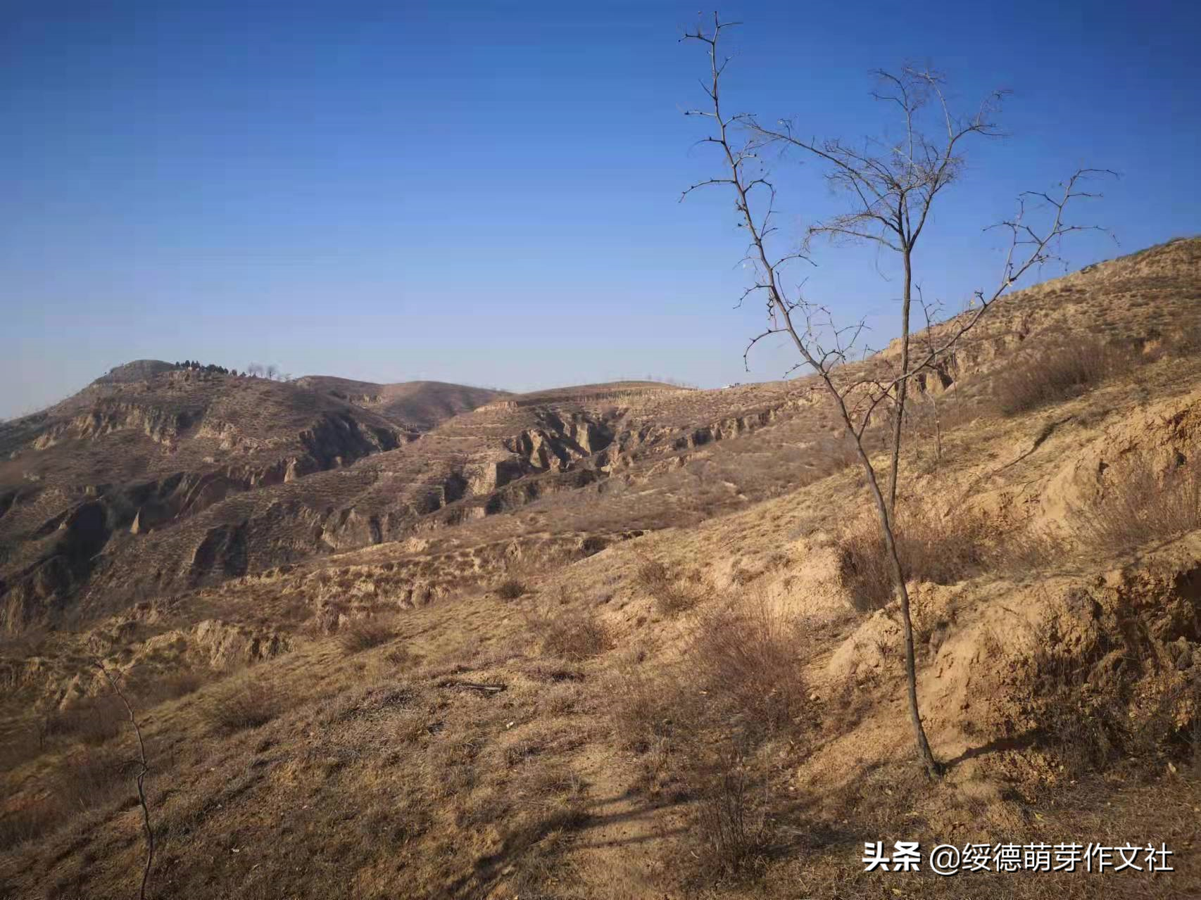 绥德王文瑜，赵家砭张家山走出的陕北泥塑大师
