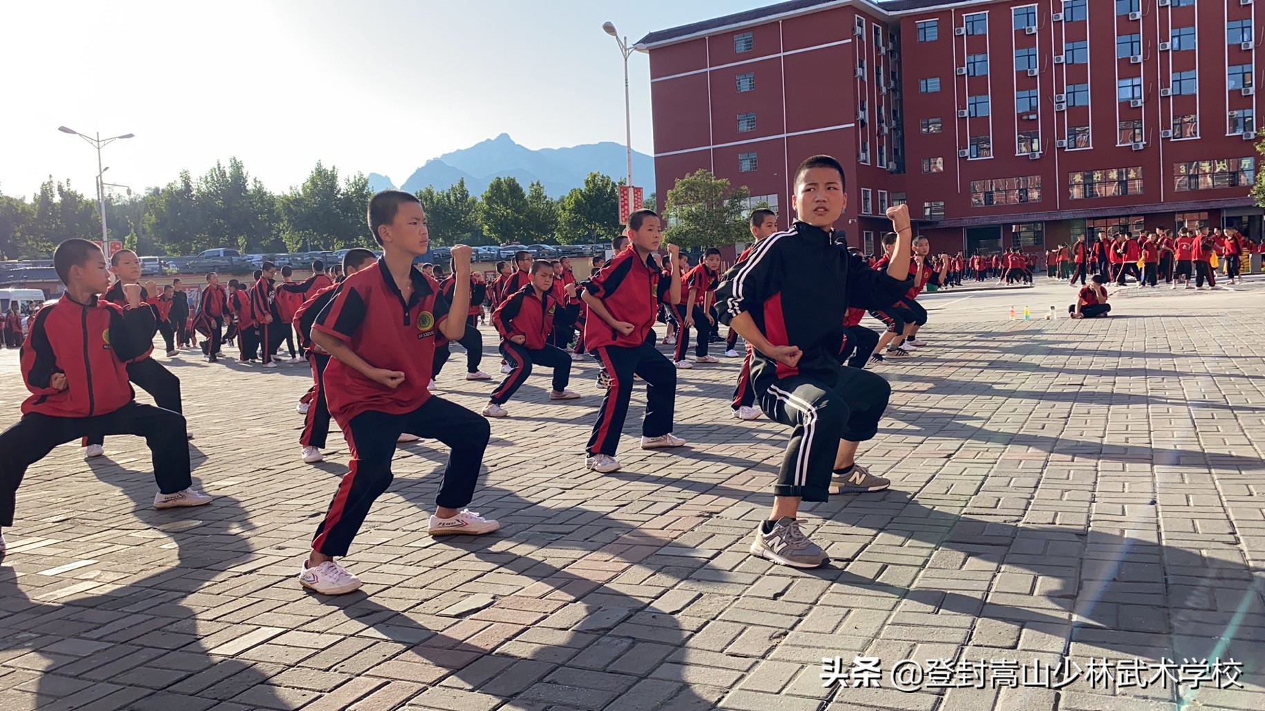 少林寺武术学校：毕业有5大出路！看完不走弯路