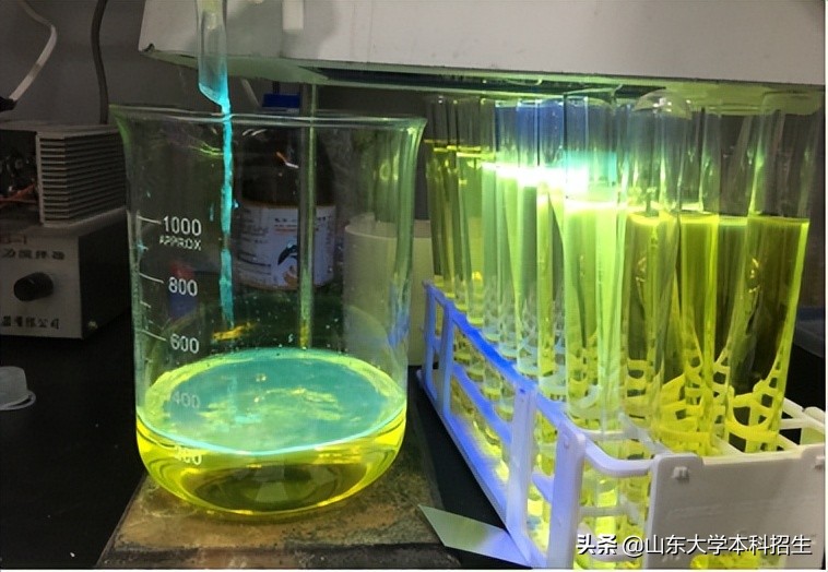 直博中科院！山东这名本科生：发表5篇SCI，成果登上美国化学会出版社！