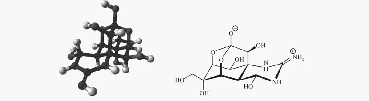 蝾螈毒素(暗藏剧毒的动物杀手，如何参与人类暗杀？不同生物为何含相同毒素)