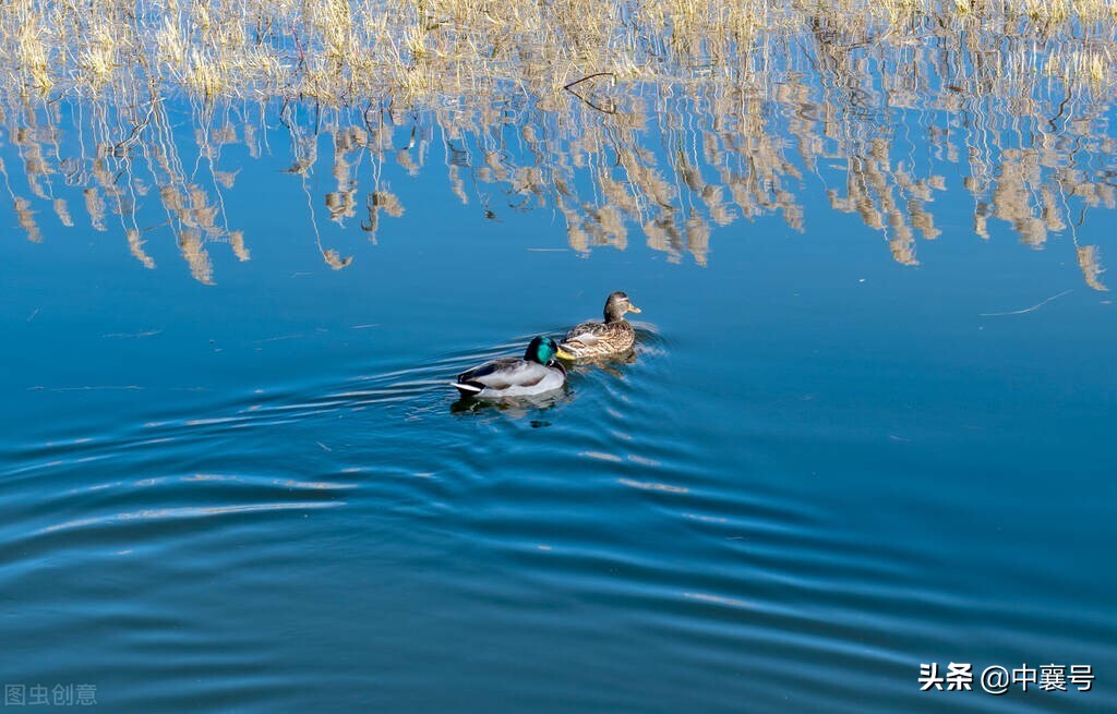 喜报！湖北九地入围国家级名单，将获得中央财政支持