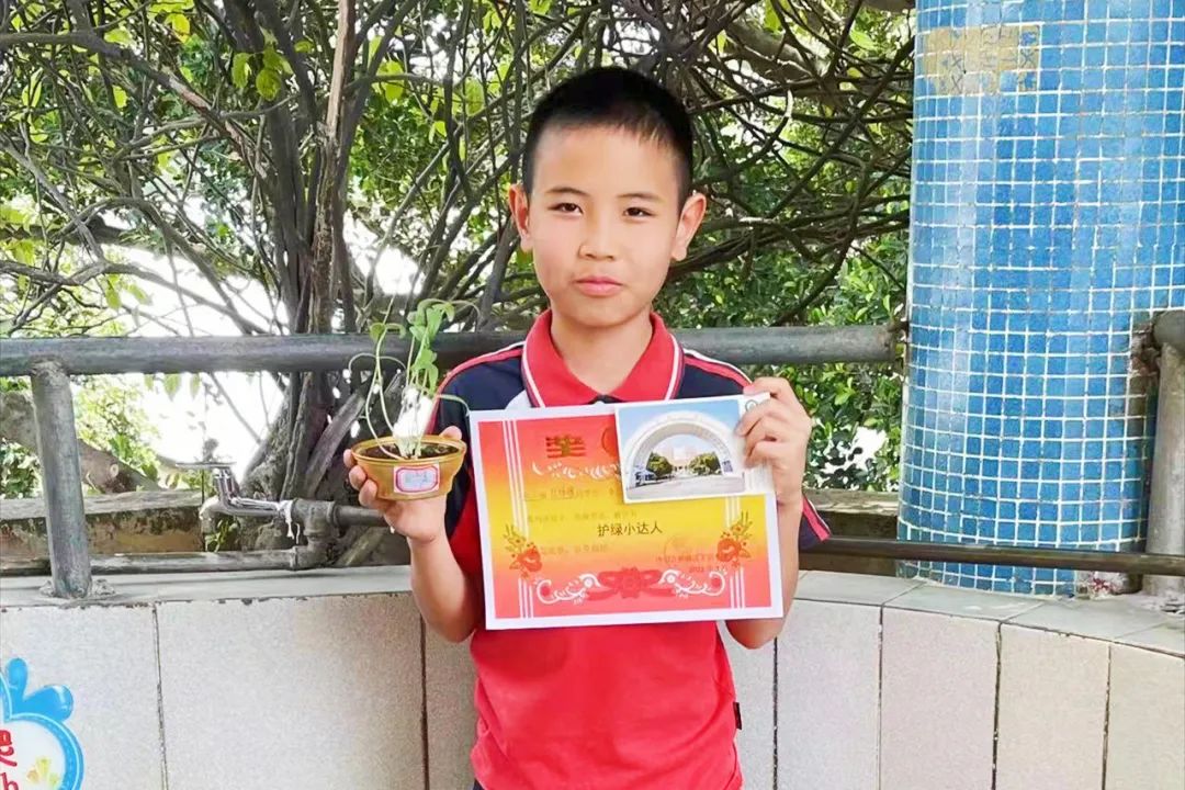 张槎有个“绿色学校”，学生用实际行动妆点美丽校园→