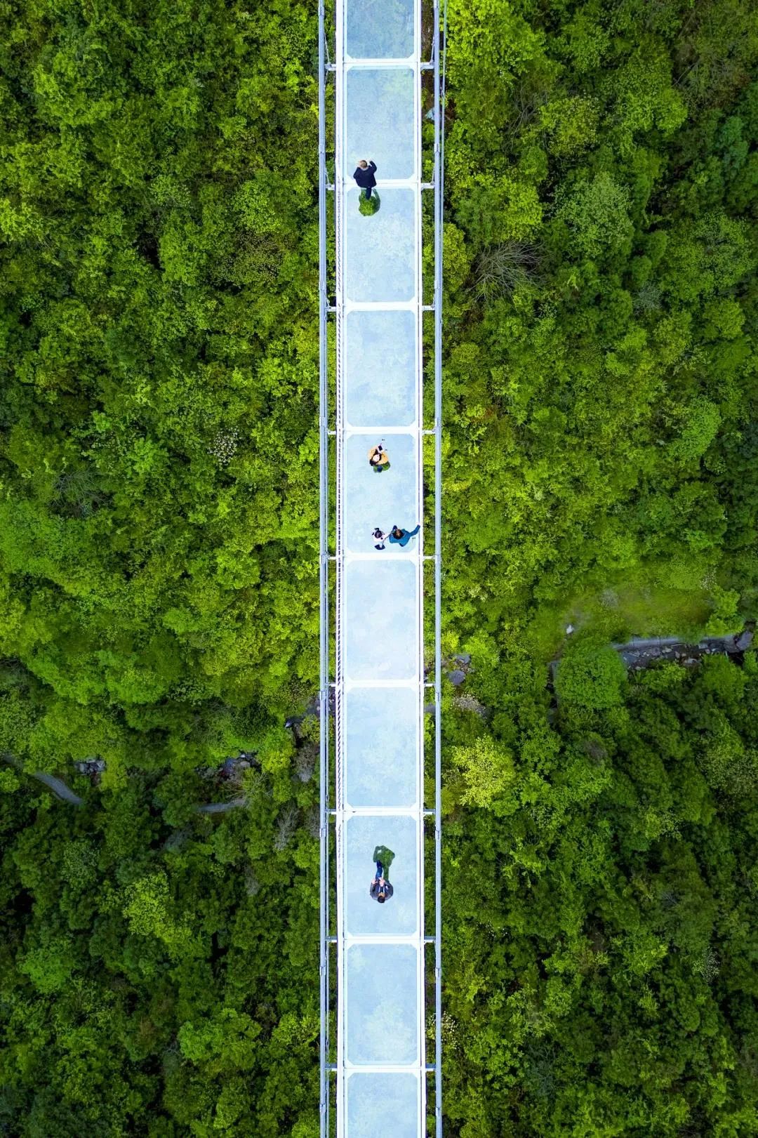 夏季均温23 ℃，这座无人问津的避暑小县城，怎么还没人发现！