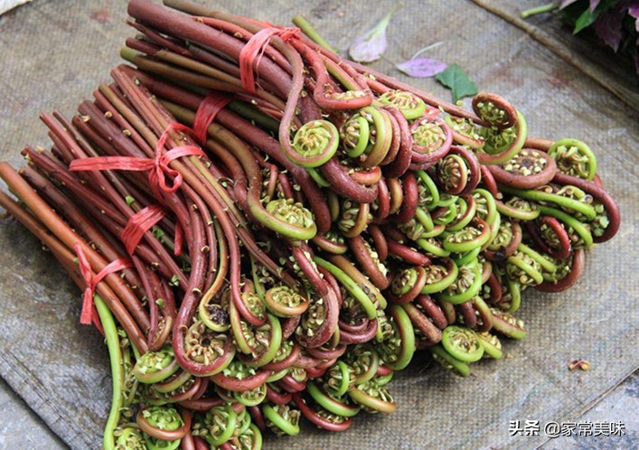 农村餐桌最常见的10种野菜，你吃过几种？见到它们你敢说都认识？