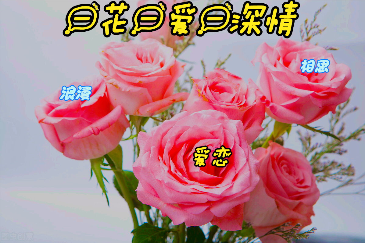 一花一爱一深情，迎春初绽暖人心