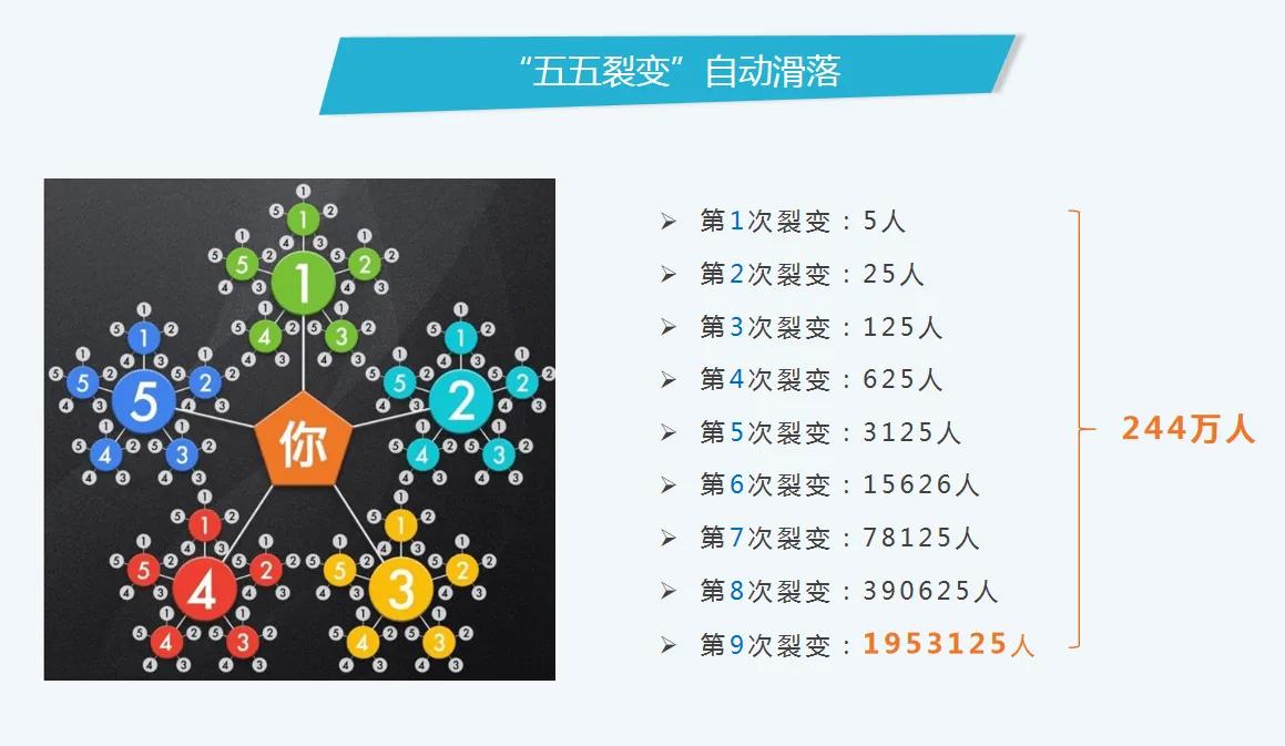 乐分享为何一个月做到70W会员？微三云钟小霞