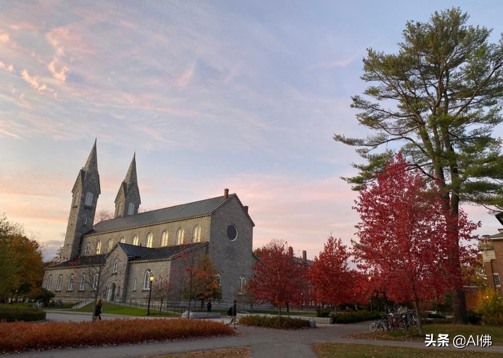 2022美国每个州最好的大学