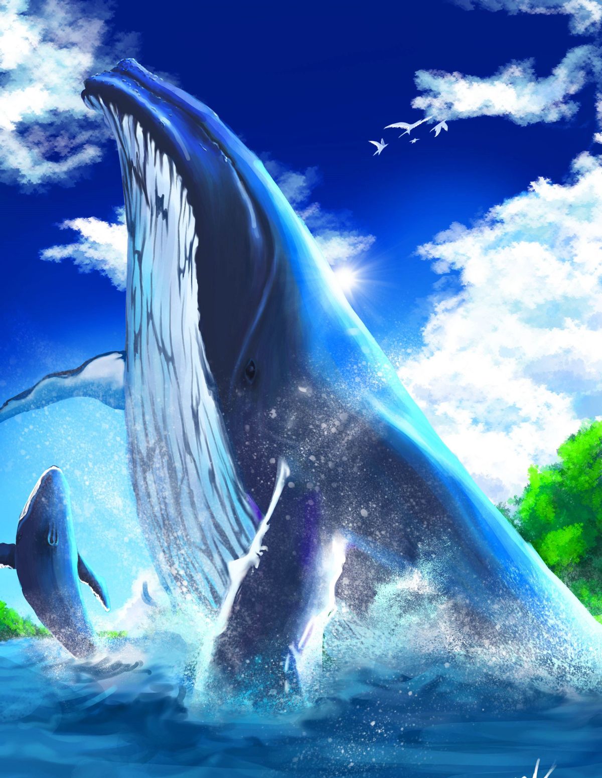 鲸鱼有多少种(深海王者) - 青木春