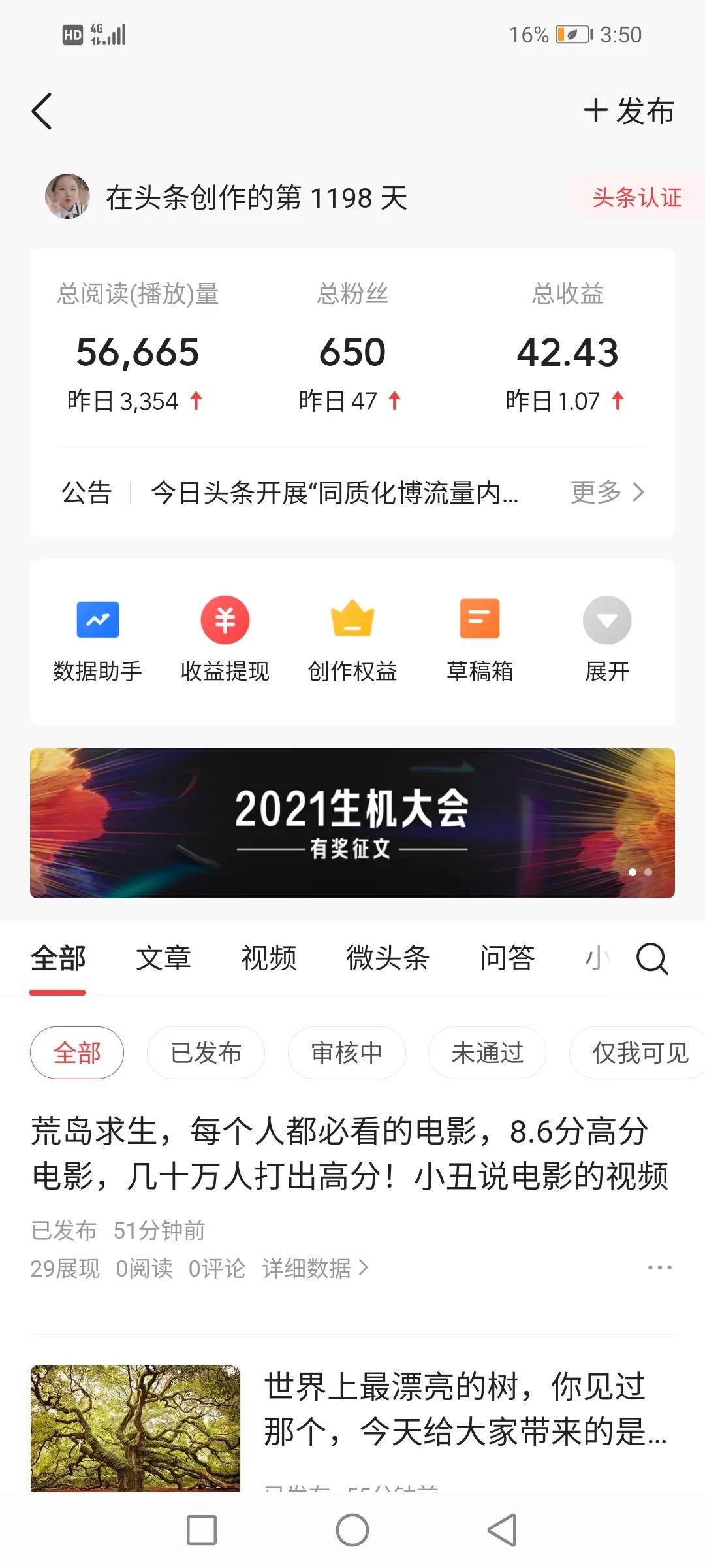剛進頭條的新人，切記這些坑不能踩