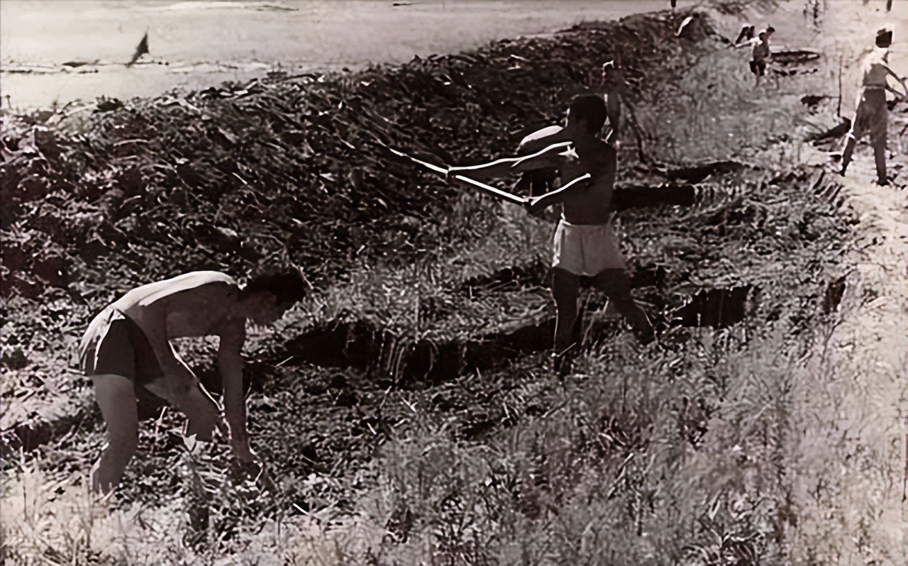 凤凰男多可怕？不想为别人而活的张艺谋，却将肖华的人生活成悲剧