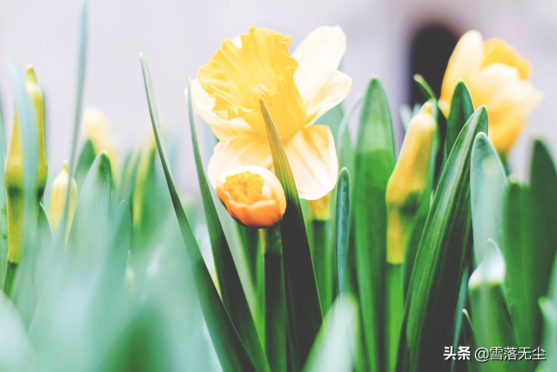 婚姻能不能幸福，从一开始就知道，可惜很多人看不透