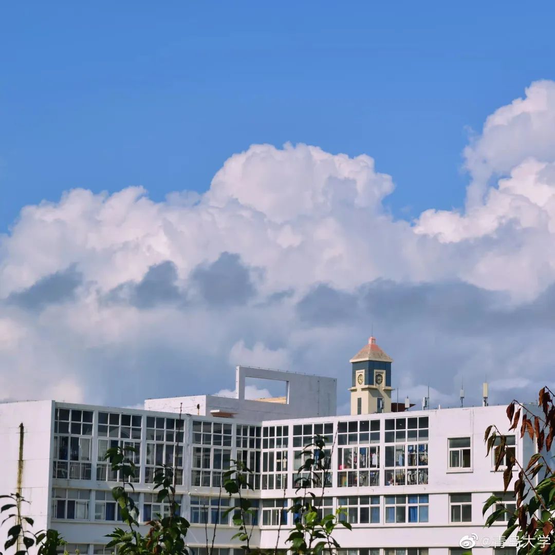 权威发布 | 青岛大学2022年普通高等教育招生章程