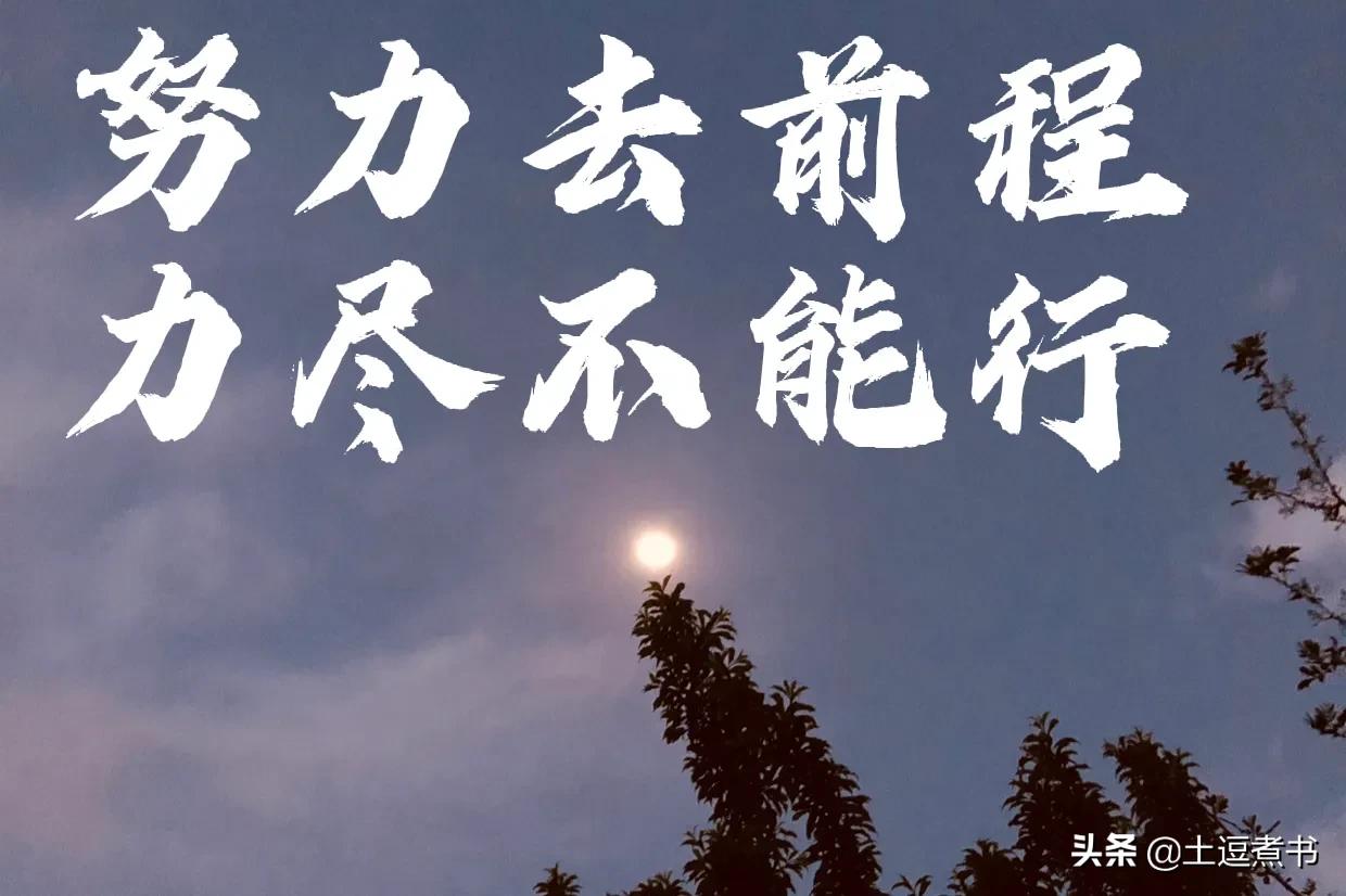 如果努力迟迟没有得到回报，你还会继续努力吗？留下你的答案