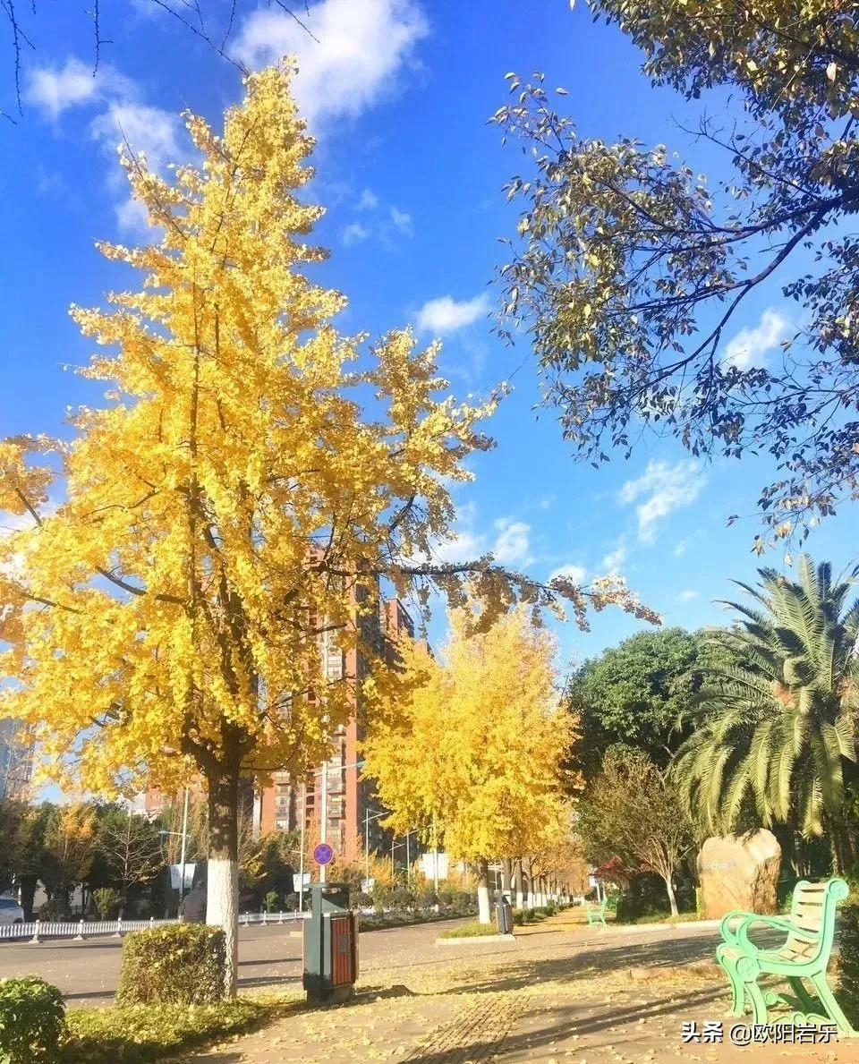 冬天必去的9个旅行地,背上心爱的单反相机,挑一个,现在就出发