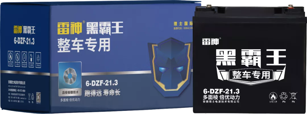 第五款:理士黑霸王系列