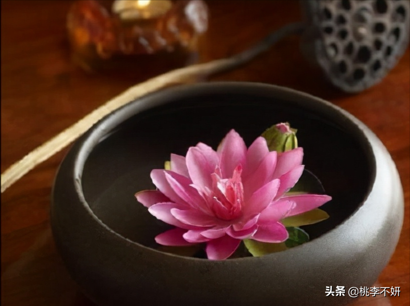 《用心工作：以专注与热情投入每项任务，成就卓越表现》