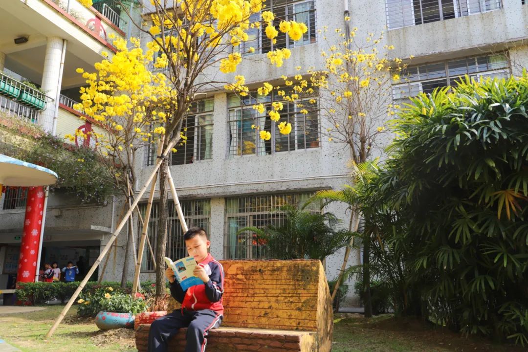 张槎有个“绿色学校”，学生用实际行动妆点美丽校园→