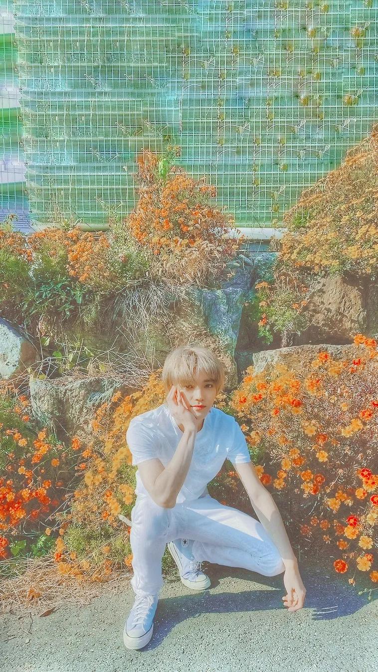 KPOP爱豆加入公司的奇奇怪怪的理由