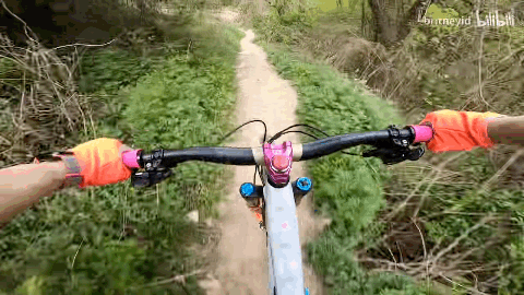 B站果然是个成人学习网站