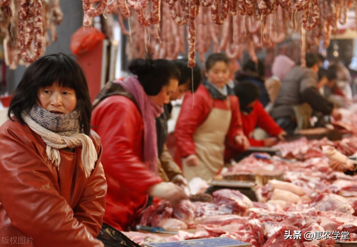 元旦春节将至，羊肉价格上涨，现在多少钱一斤？12月羊肉最新行情