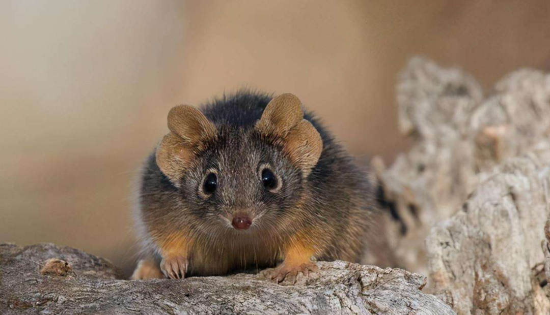 ����Ϊʲô��ʧȥ�������ǡ��������ǽ������ƣ����ǵ����ˣ�