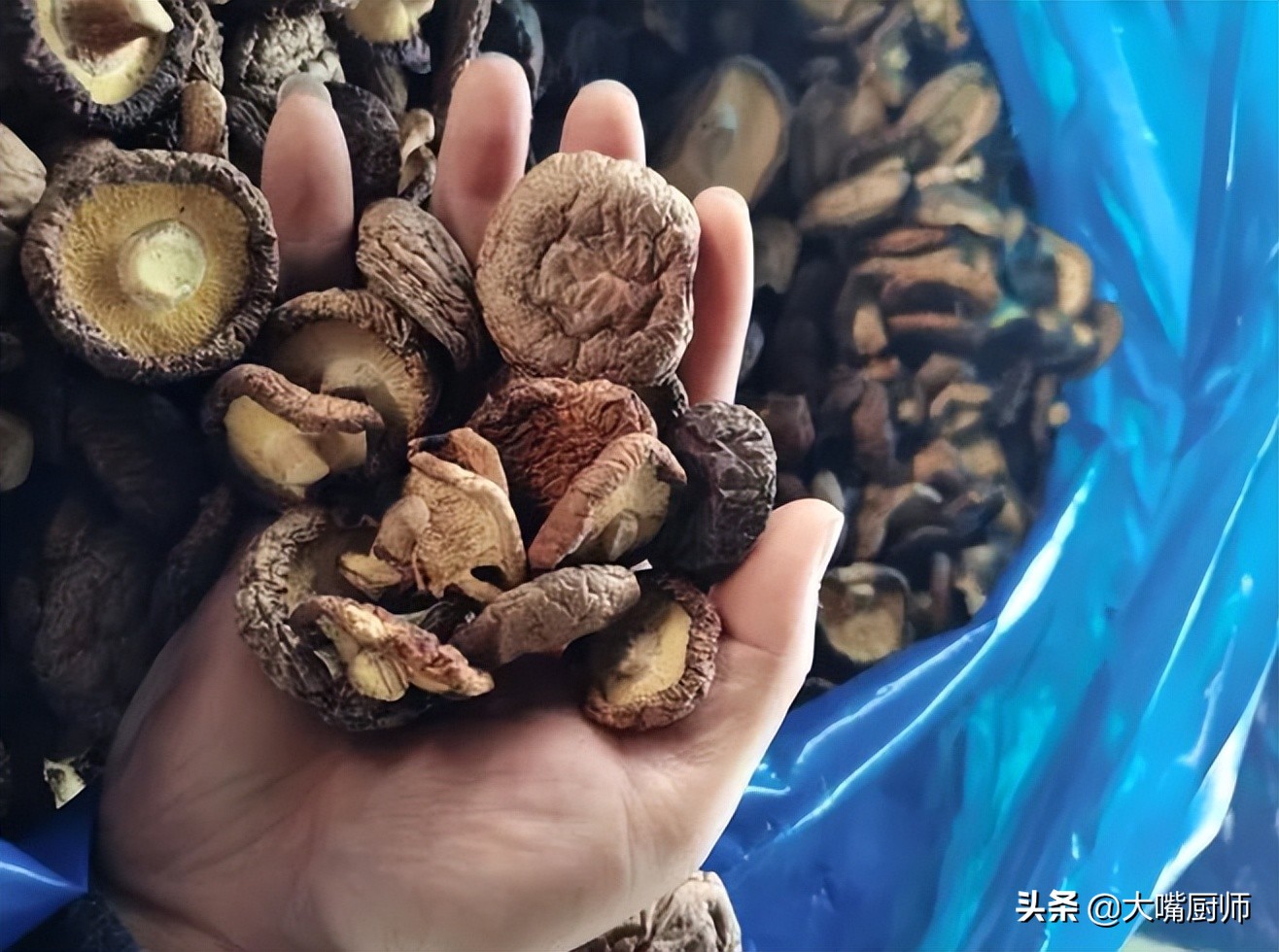 干香菇不用提前泡，5分钟就能完全泡发，比原来大5倍，这方法真牛