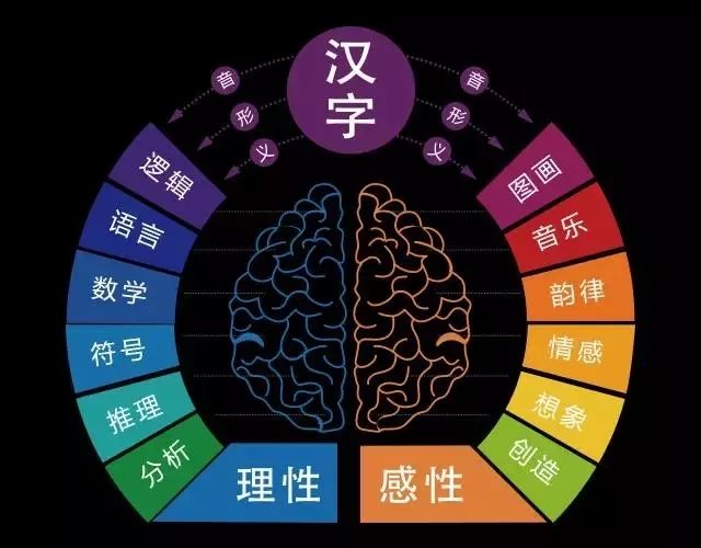 一上线就抢疯的《中华字课》，到底什么样？3000汉字大合集